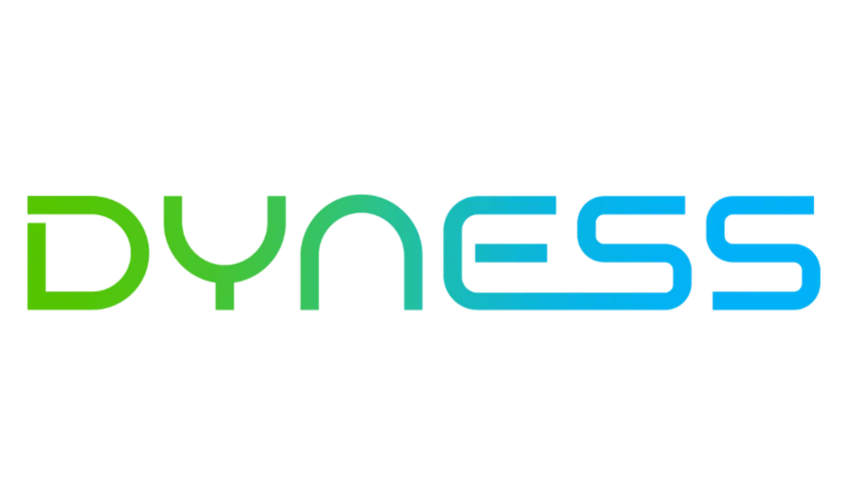 Dyness